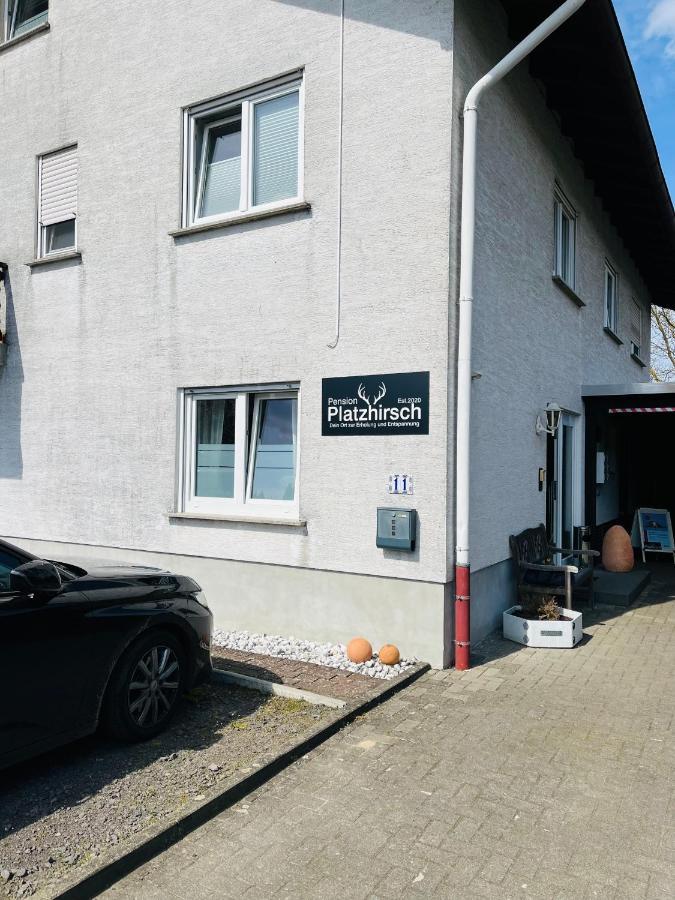 Pension Platzhirsch Mucke Bagian luar foto